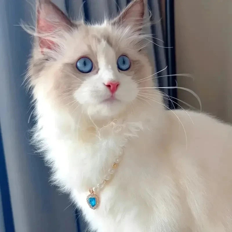 Pet Pearl Collar Dog Princess Necklace Cat Jewelry Cute Collar Puppy