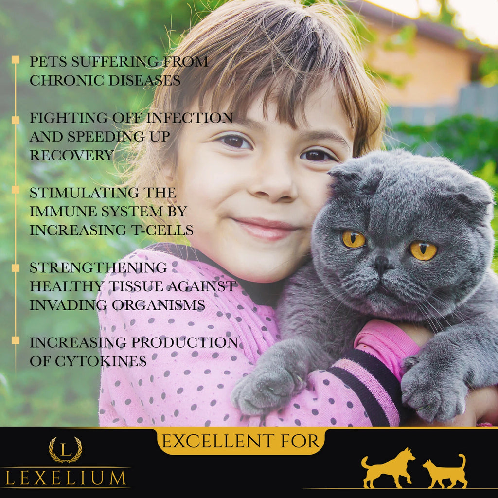 Immune System Support for Dogs and Cats | Helps Fight Off Infections &amp; Allergy