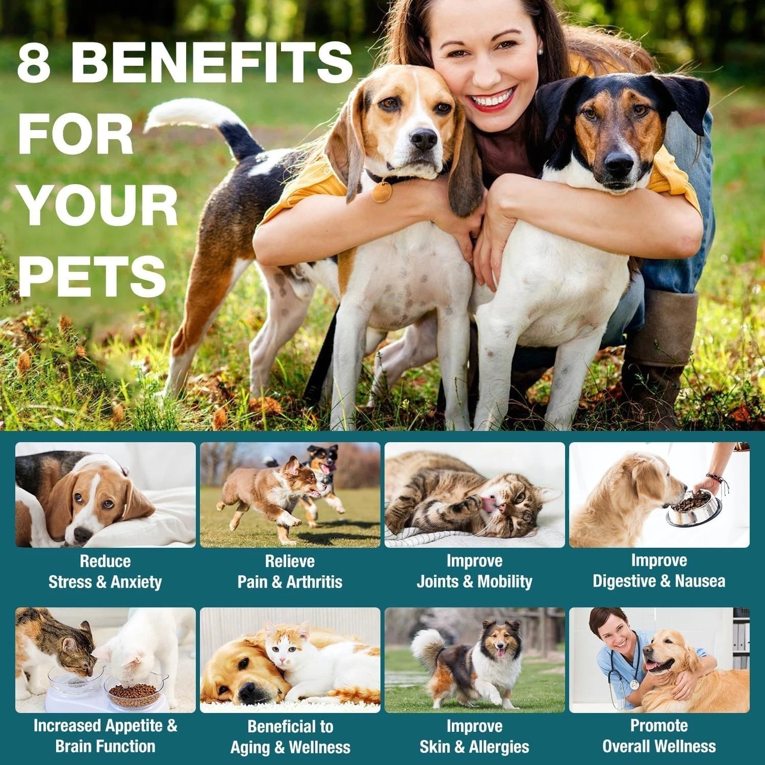 Pet Oil for Dogs and Cats Anxiety Stress Pain Relief Joint Hip Аrthritis Sleep A
