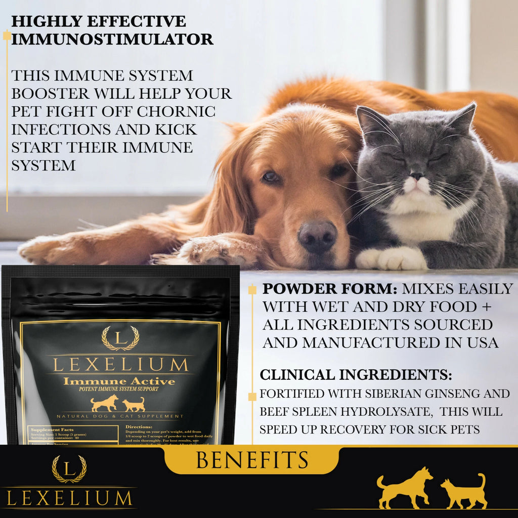 Immune System Support for Dogs and Cats | Helps Fight Off Infections &amp; Allergy