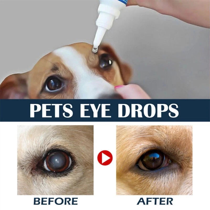 Eye Drops for Pets Bacterial,Vira<wbr/>l and Fungal &amp; Infections Dog Cat Treatment US