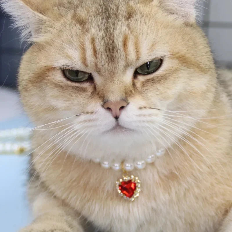 Pet Pearl Collar Dog Princess Necklace Cat Jewelry Cute Collar Puppy