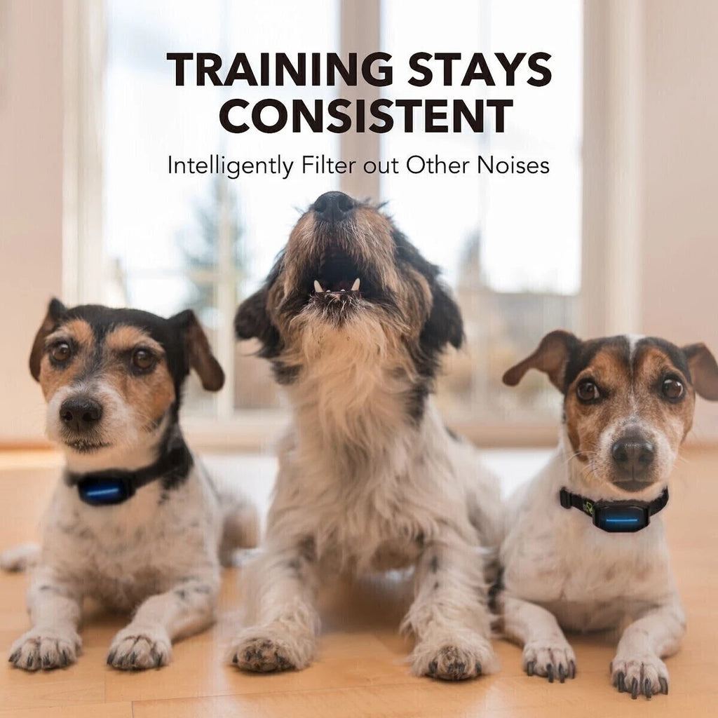 10Pc Dog Bark Control Shock Collar Two Safe Training Modes for Pets Rechargeable