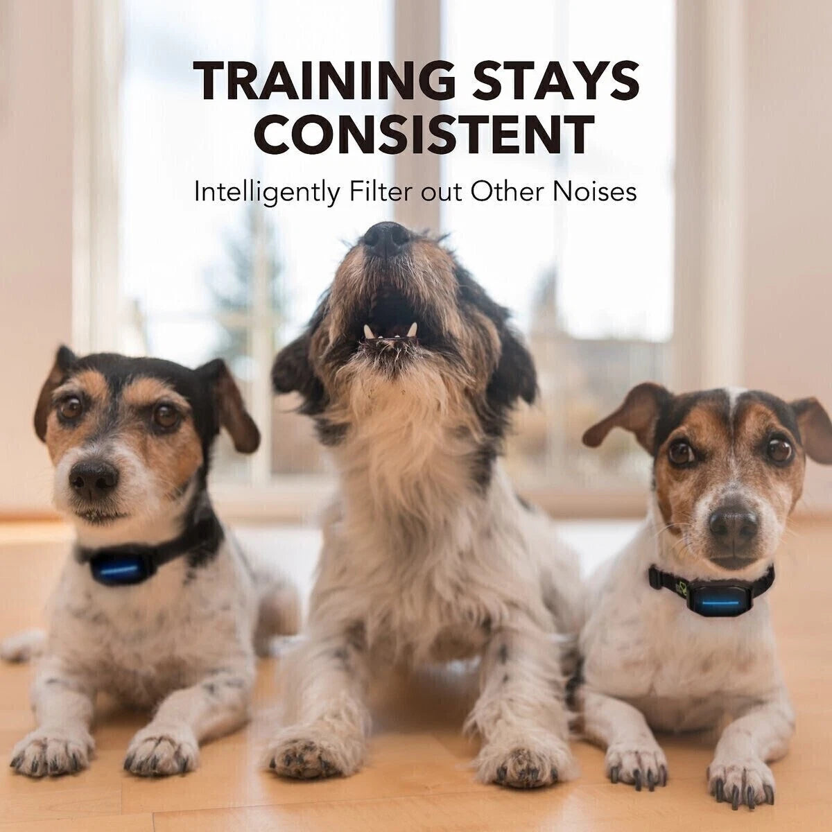 10Pc Dog Bark Control Shock Collar Two Safe Training Modes for Pets Rechargeable