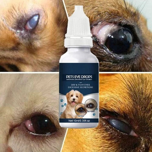 Eye Drops for Pets Bacterial,Vira<wbr/>l and Fungal &amp; Infections Dog Cat Treatment US